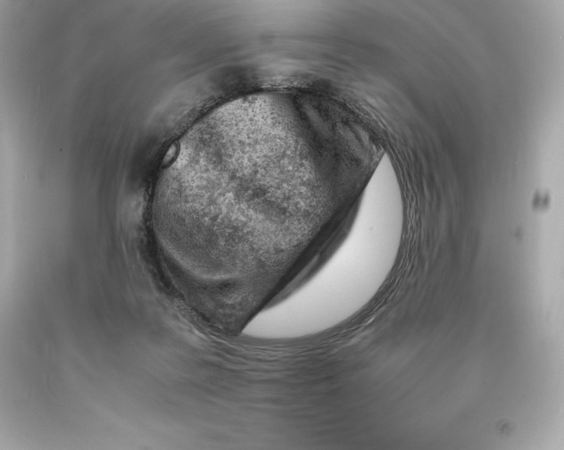 X0000093100219200710241227