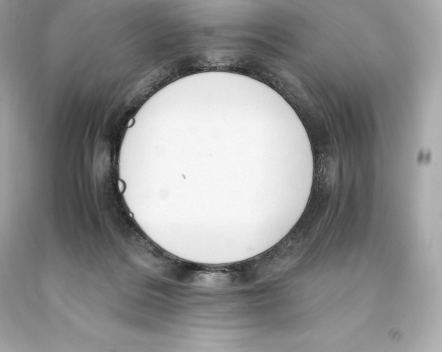 X0000093100220200710241227