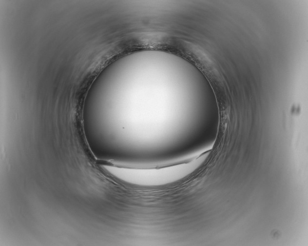 X0000093100221200710241227