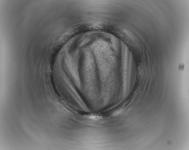 X0000093100223200710241227