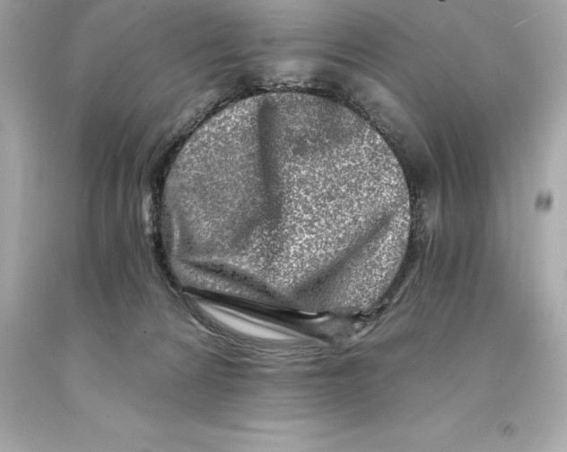 X0000093100224200710241227