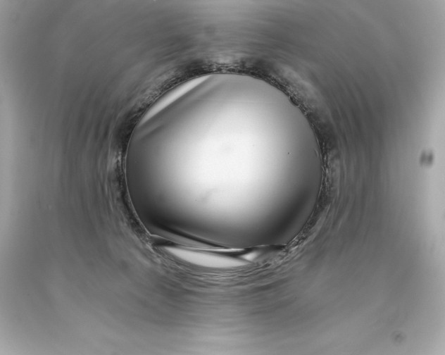 X0000093100225200710241227