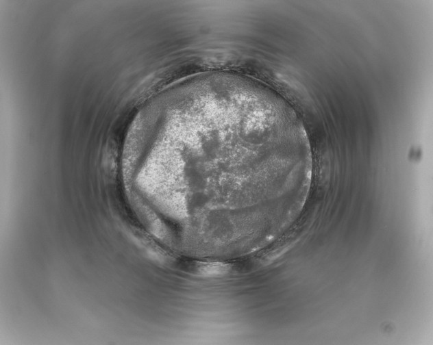 X0000093100226200710241227