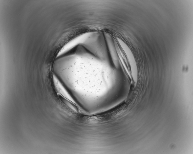 X0000093100229200710241227