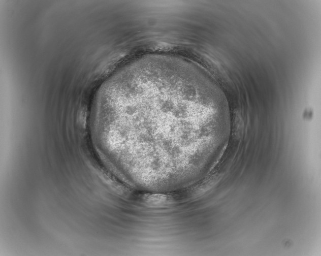 X0000093100230200710241227