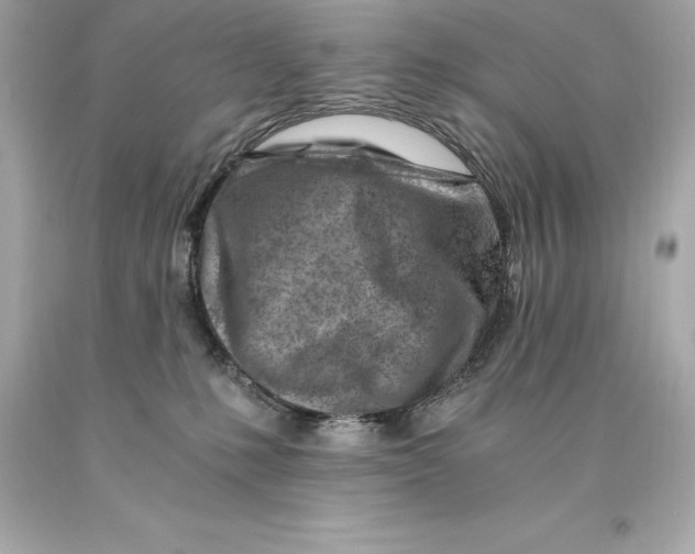 X0000093100231200710241227