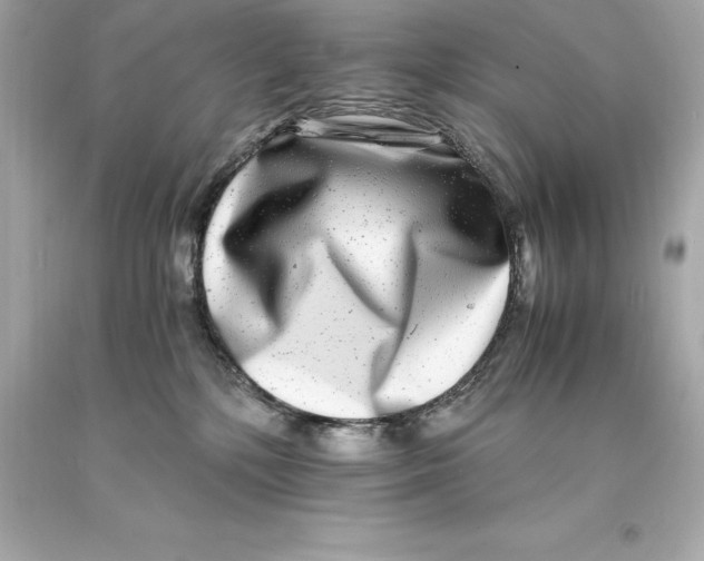 X0000093100232200710241227