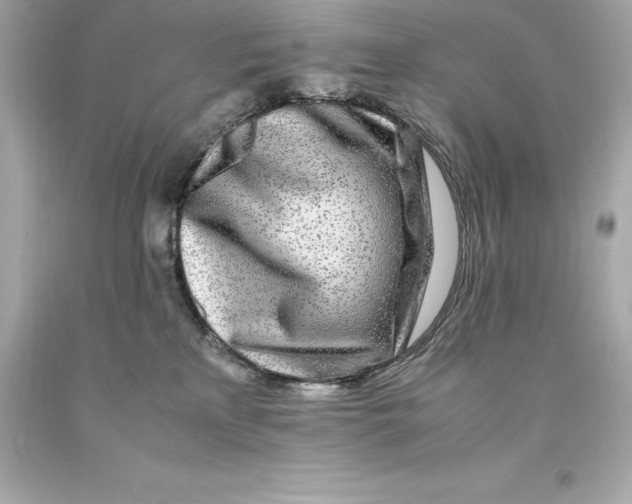 X0000093100233200710241227