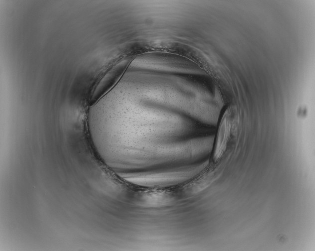 X0000093100235200710241227