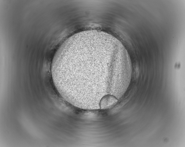 X0000093100236200710241227