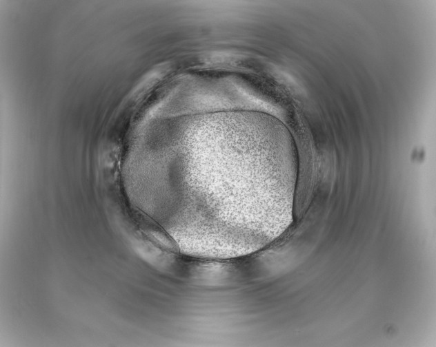 X0000093100237200710241227