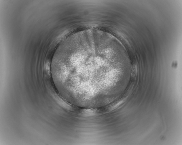 X0000093100238200710241227