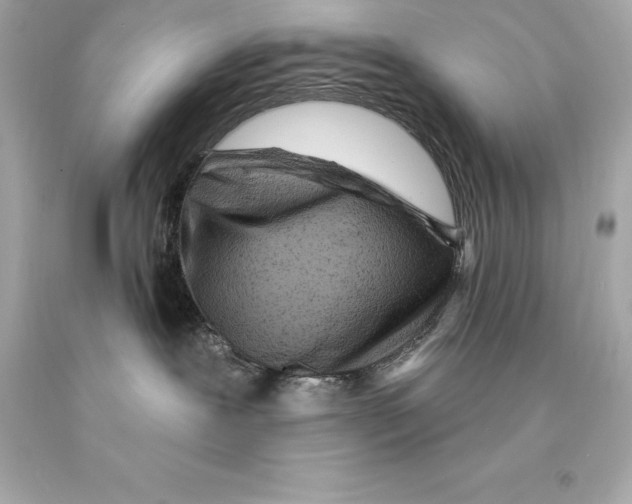 X0000093100239200710241227