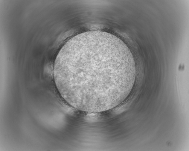 X0000093100240200710241227