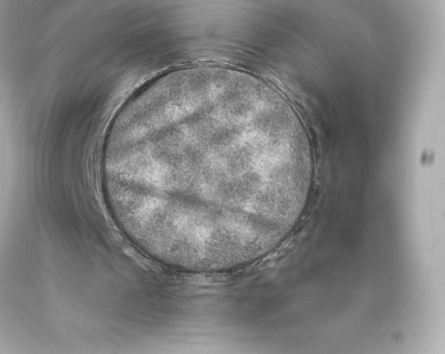 X0000093100241200710241226