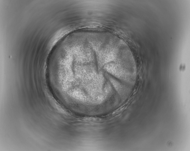 X0000093100242200710241226