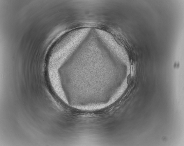 X0000093100243200710241226