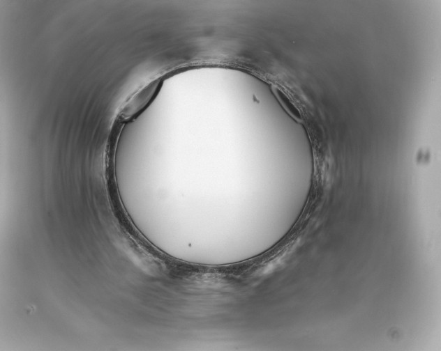 X0000093100244200710241226