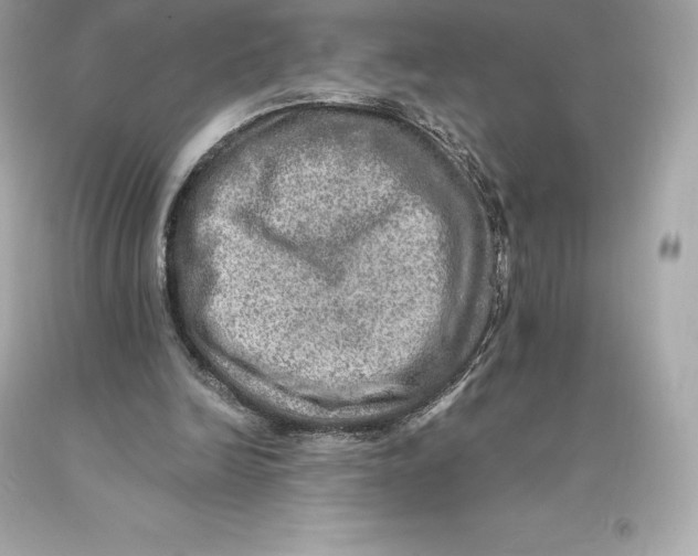 X0000093100246200710241226