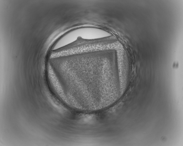 X0000093100247200710241226