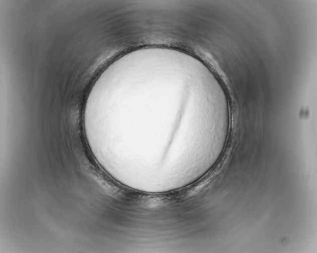 X0000093100249200710241226