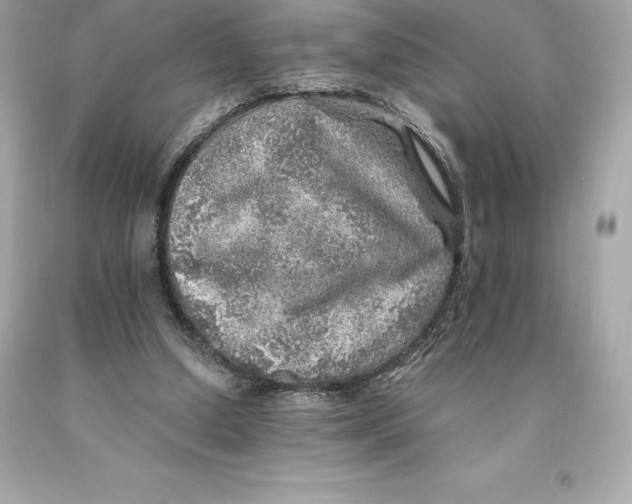 X0000093100250200710241226