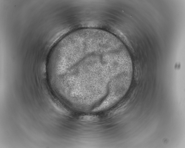 X0000093100251200710241226