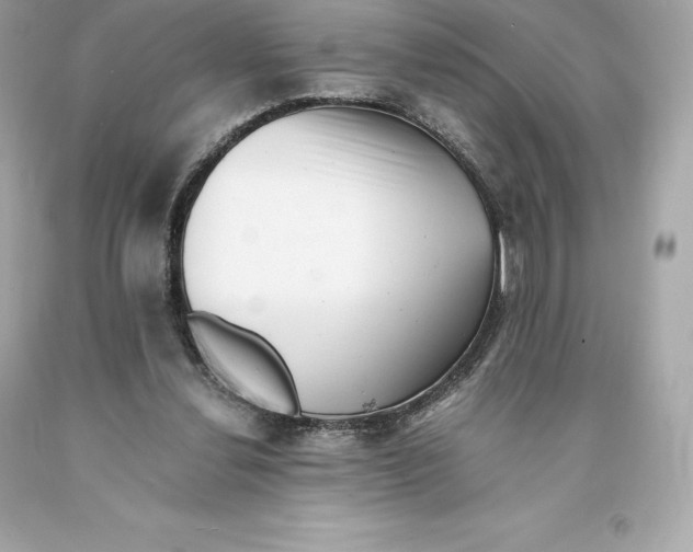 X0000093100252200710241227