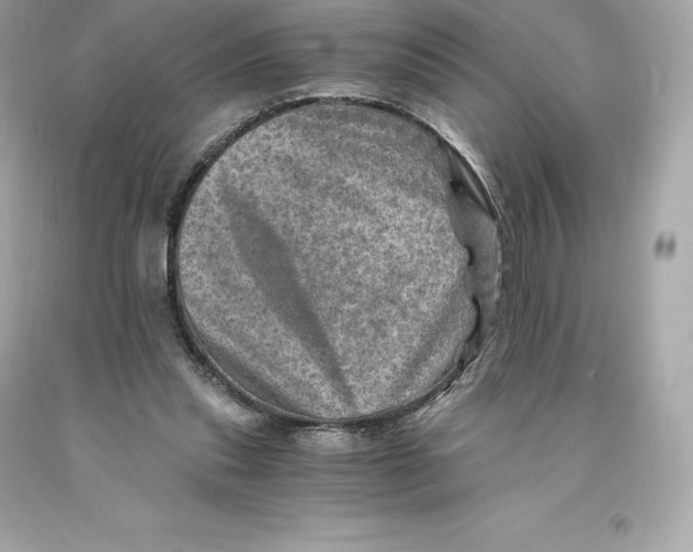 X0000093100253200710241227