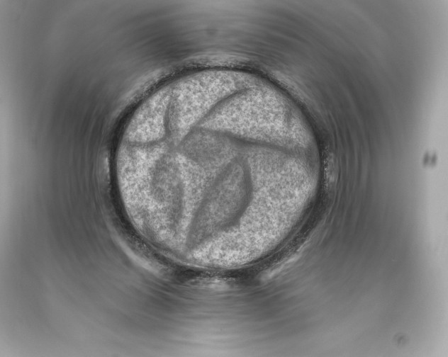 X0000093100254200710241227