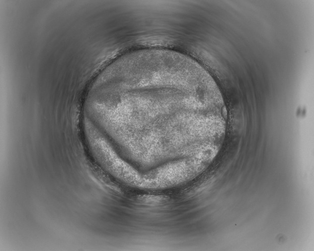 X0000093100255200710241227