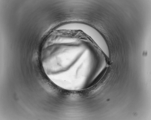 X0000093100256200710241227