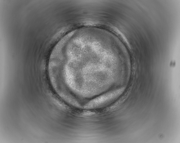 X0000093100257200710241227