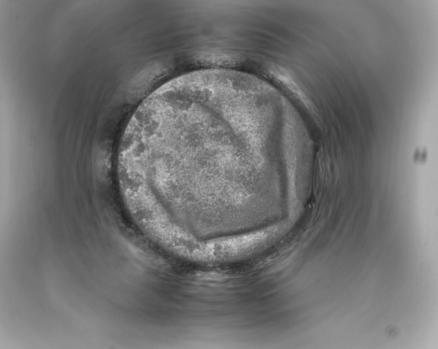 X0000093100259200710241227