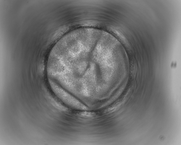 X0000093100261200710241227