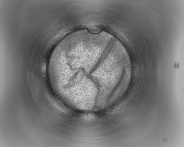 X0000093100262200710241227