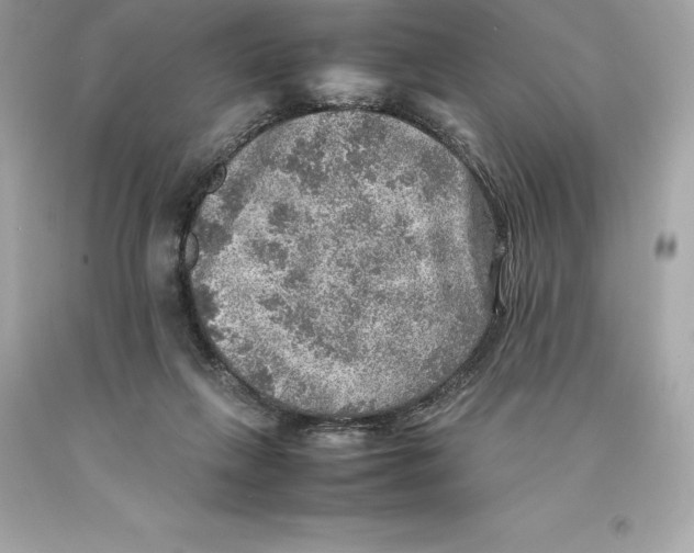 X0000093100263200710241227