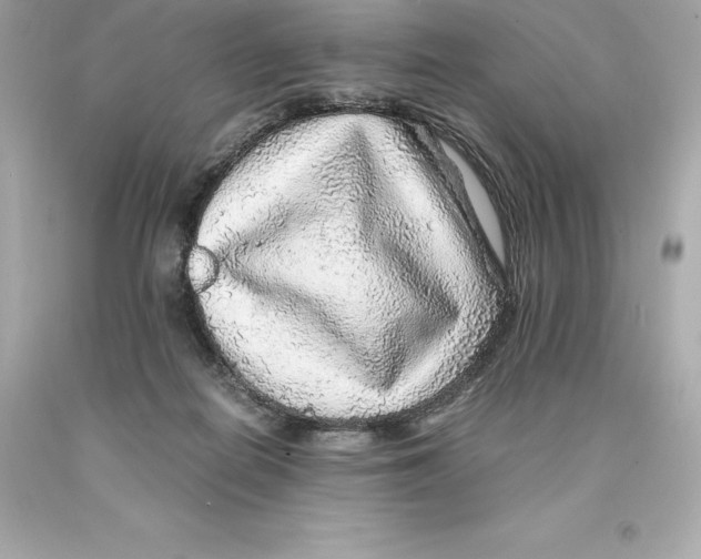 X0000093100266200710241227