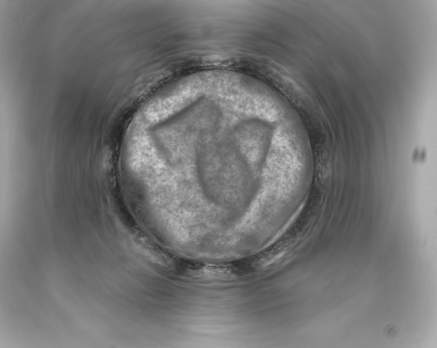 X0000093100270200710241227