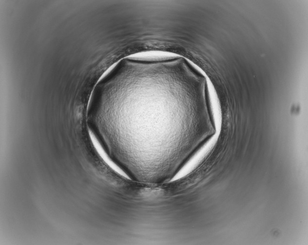 X0000093100271200710241227