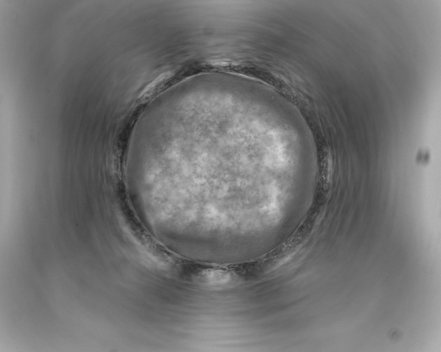 X0000093100272200710241227