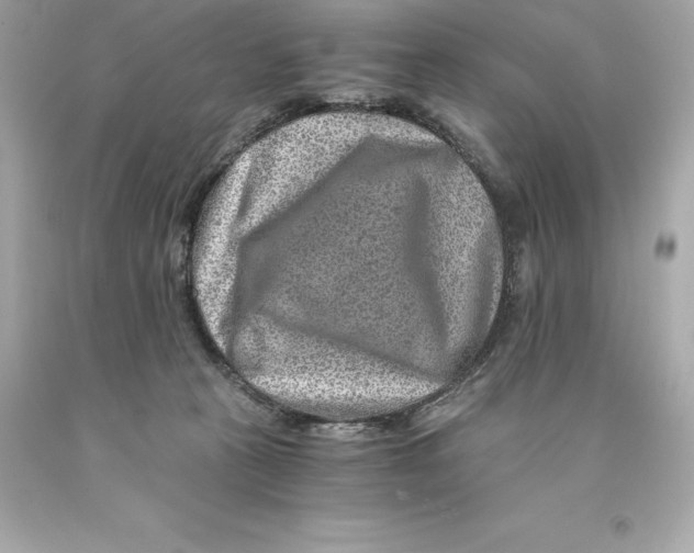 X0000093100273200710241227