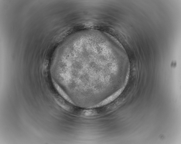 X0000093100275200710241227