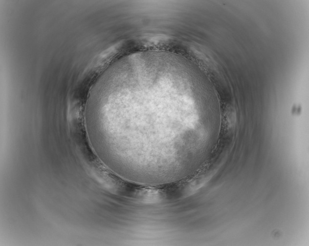 X0000093100276200710241227