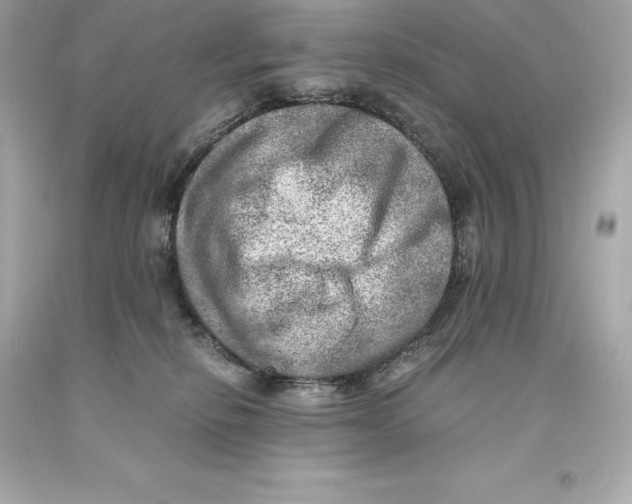 X0000093100278200710241227