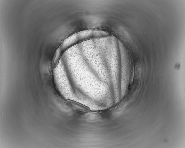 X0000093100280200710241227