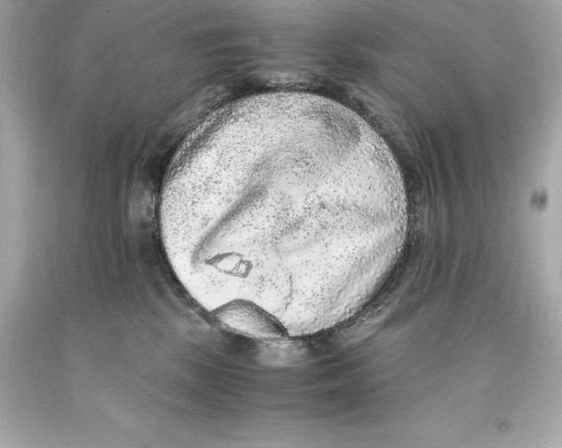 X0000093100281200710241227