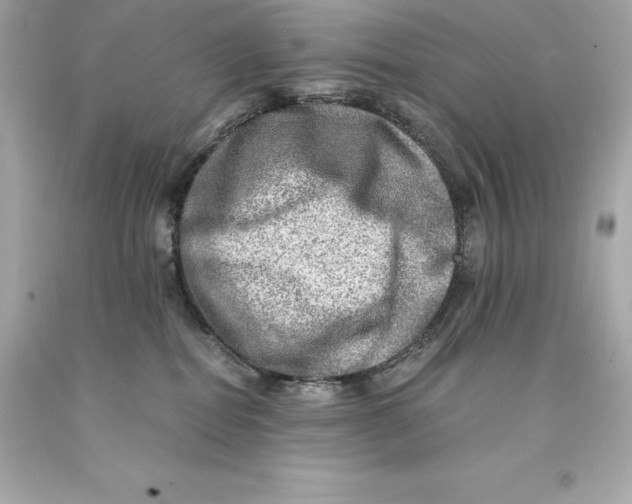 X0000093100282200710241227