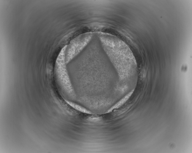 X0000093100283200710241227