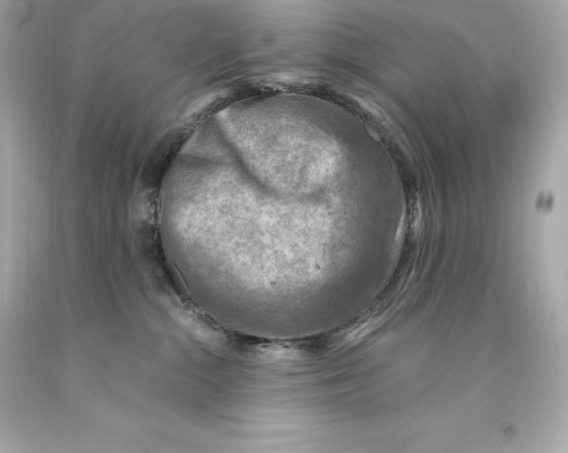 X0000093100284200710241227